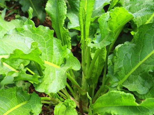 1561915869329903.jpg 7.jpg