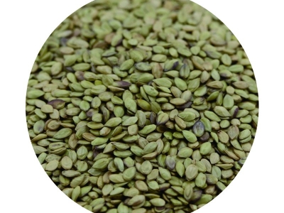 [百喜草]百喜草種子價(jià)格_圖片_種植方法