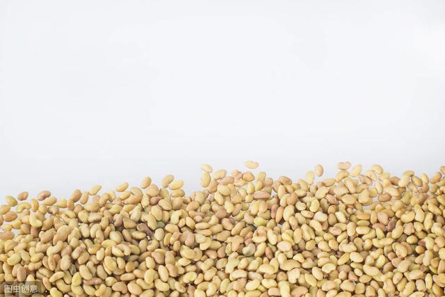 紫花苜蓿牧草種子種植技術及在畜牧生產中的應用