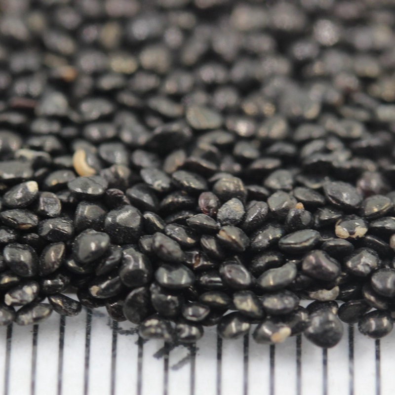 火焰雞冠花 火焰雞冠花