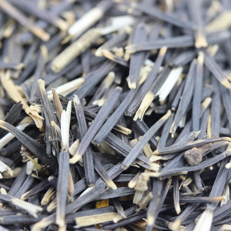 萬(wàn)壽菊 萬(wàn)壽菊