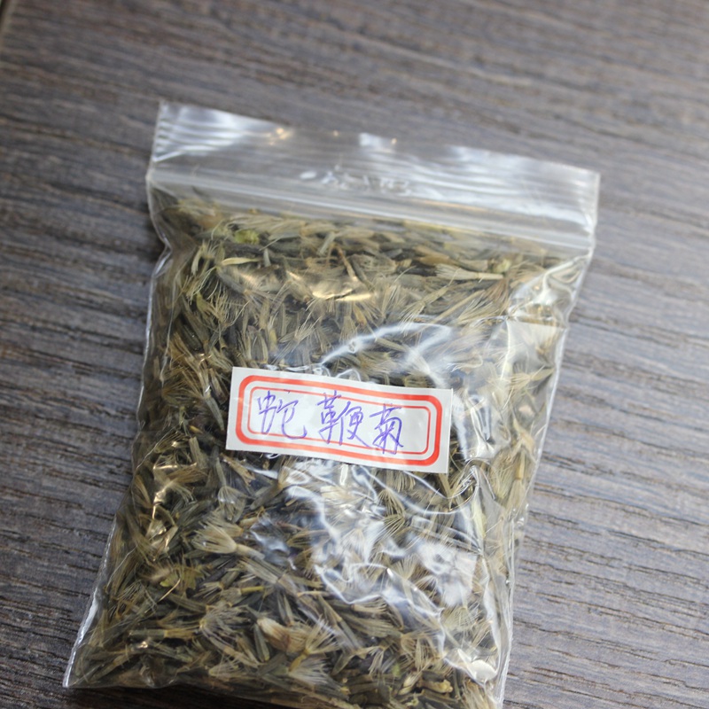 蛇鞭菊 蛇鞭菊
