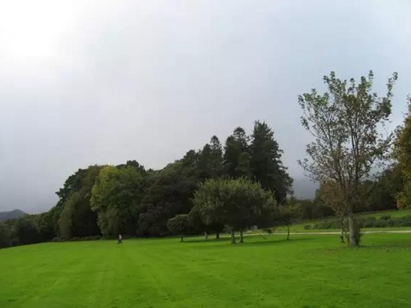 狗牙根春季壞死斑病選擇防治盡量要提前準備! 狗牙根春季壞死斑病選擇防治盡量要提前準備!