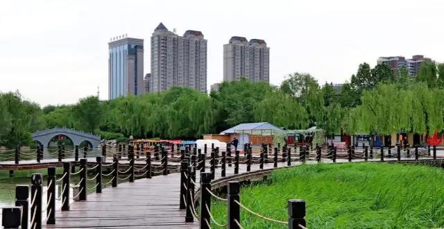 哪里有綠化草坪草種賣？去哪買比較好？