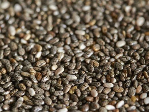 紫云英栽培技術以及田間管理方法