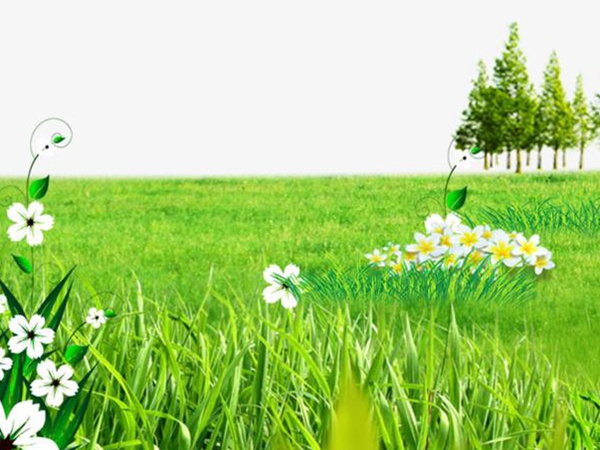 要想草坪養護好，需要注意這幾項