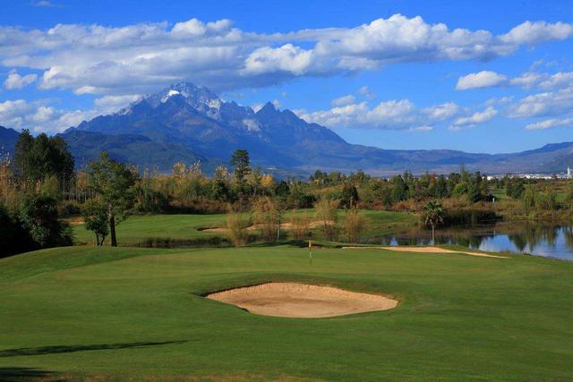 草坪綠化中的王者，護(hù)坡能力強大的的剪股穎草種