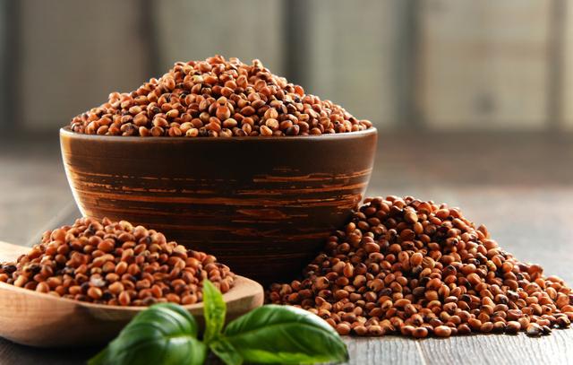 甜高粱怎么栽培?甜高粱科學(xué)栽培技術(shù)是什么! 甜高粱怎么栽培?甜高粱科學(xué)栽培技術(shù)是什么!