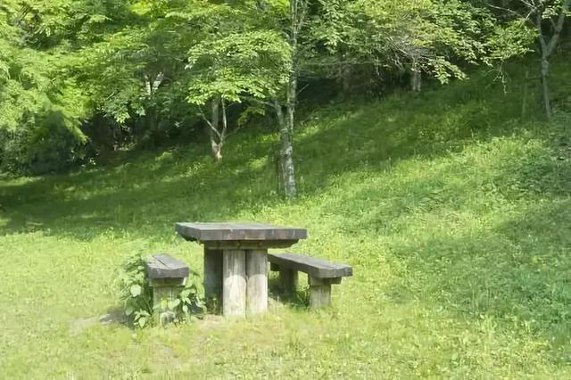 草坪有哪幾種分類(lèi)你知道嗎？