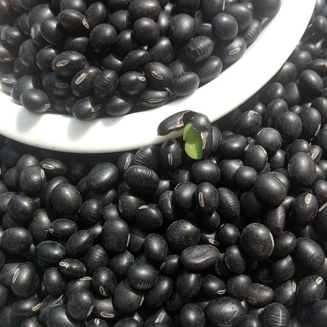 黑豆優質高產栽培技術與后期管理方法