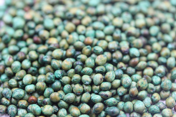 <a href=http://www.oubai168.com.cn/product/2.html target=_blank class=infotextkey>大力士甜高粱種子</a> 大力士甜高粱種子