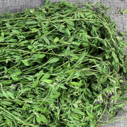 紫花苜蓿的高效栽培管理方法和加工技術(shù) 紫花苜蓿的高效栽培管理方法和加工技術(shù)