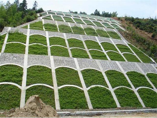 生命力頑強(qiáng)、耐踐踏又美觀的狗牙根草坪