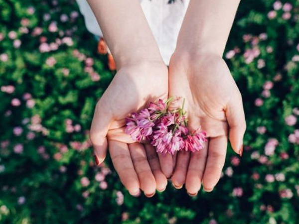 誤入人間的天使——紫衣花海的紫云英