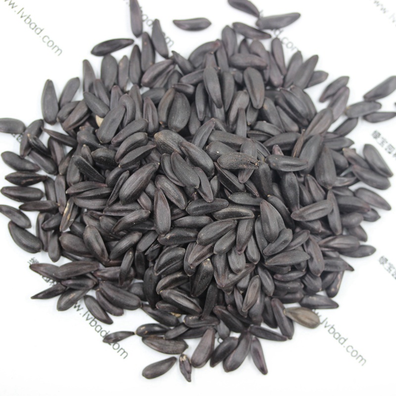 多頭向日葵種子