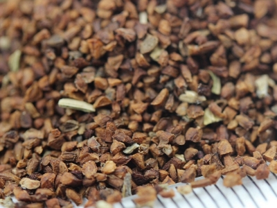 [月見草]月見草種子價格_圖片_播種方法