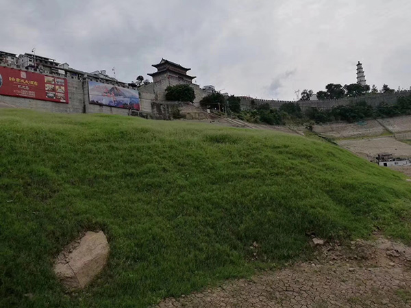 百慕大草坪護坡圖片