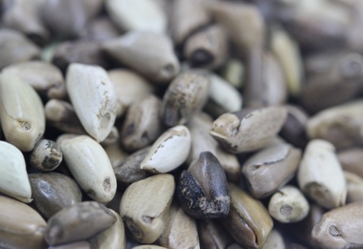 1626957266327487.jpg image.jpg