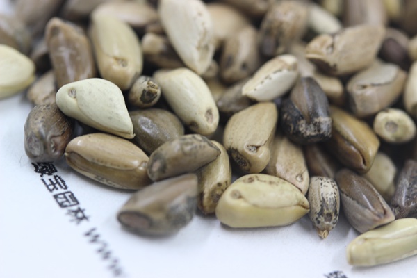 ?￠¨è￥???￥????±3è???§??-?