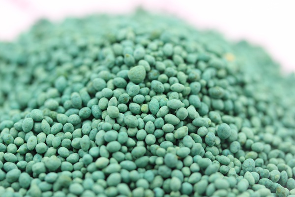 七月份適合種什么草籽 七月份適合種什么草籽