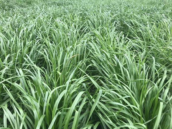 1627224000475635.jpg image.jpg