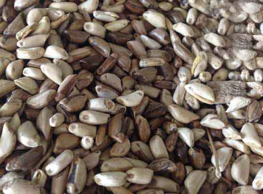 1627275414252388.jpg image.jpg