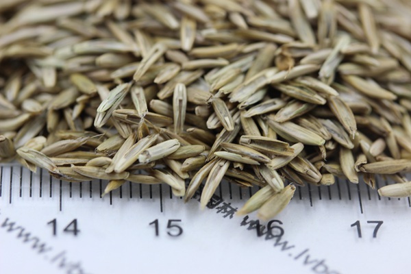 1627363547863383.jpg image.jpg