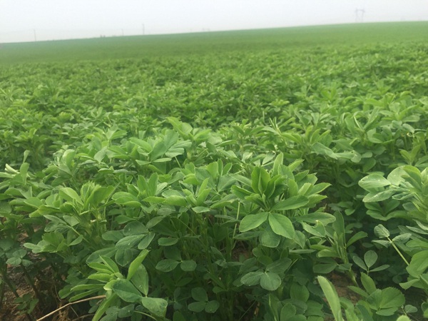 1627369887811656.jpg image.jpg