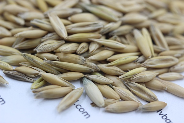 1627380412268172.jpg image.jpg