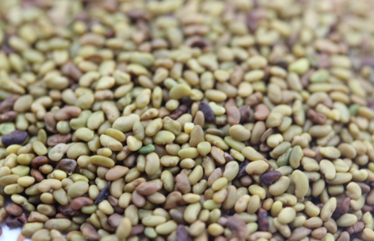 1627403263430159.jpg 2.jpg