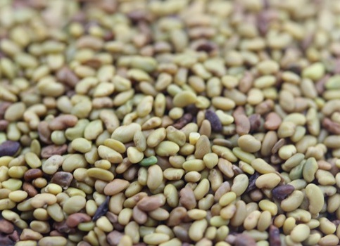 1627518526306621.jpg image.jpg