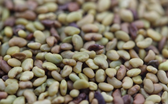 1627518542994148.jpg image.jpg