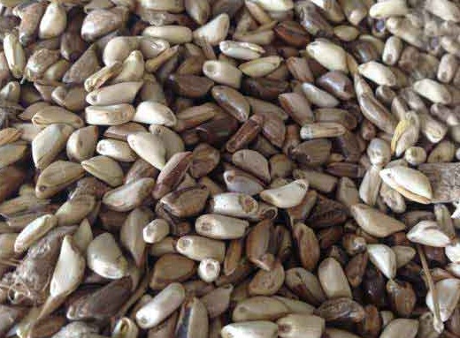 1627519588529045.jpg image.jpg