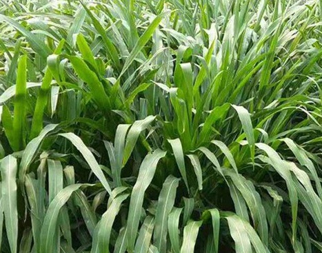 1627524629156884.jpg image.jpg