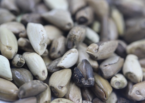 1627524647502187.jpg image.jpg