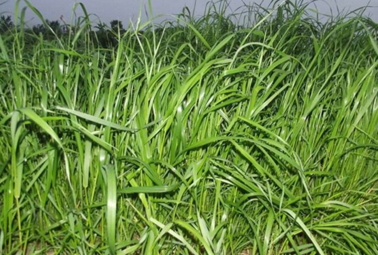 1627570704206627.jpg 賣賣.jpg