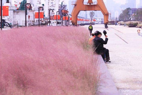 1627615584607956.jpg image.jpg