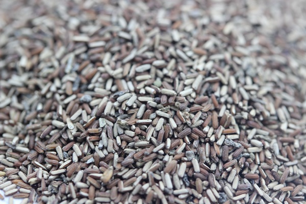 1627617286991312.jpg image.jpg