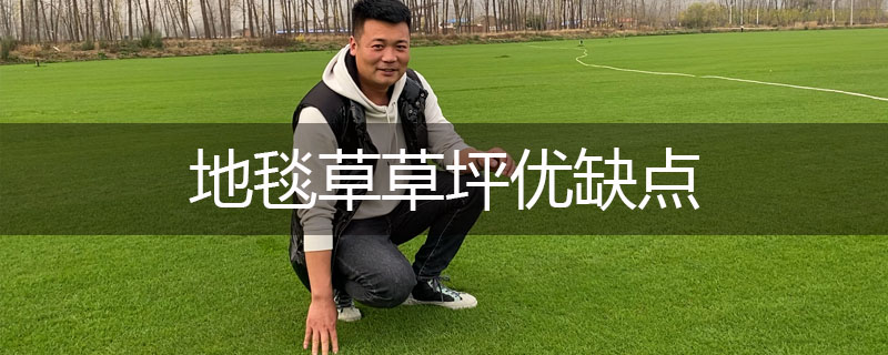 地毯草草坪優缺點