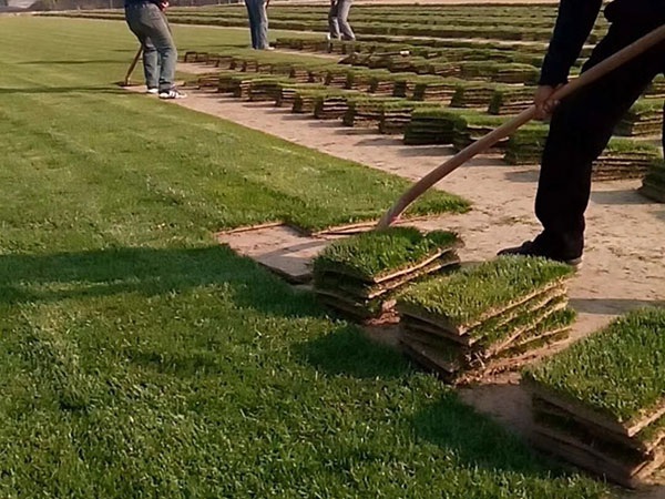 1627699030159538.jpg image.jpg