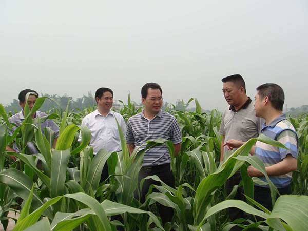 1627701636732157.jpg image.jpg