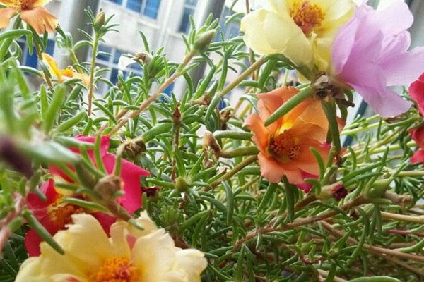 1627821539756224.jpg image.jpg