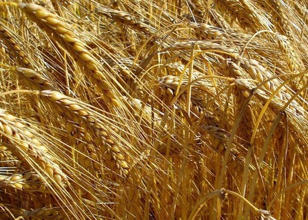 1628084690499514.jpg image.jpg