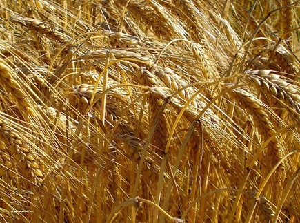 1628084718533321.jpg image.jpg