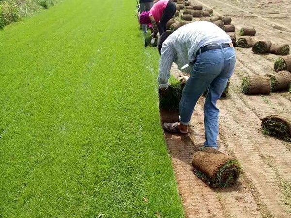 1628223304192374.jpg image.jpg