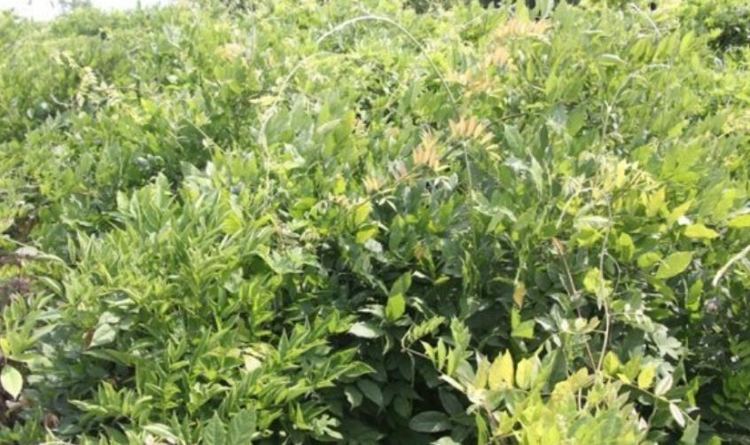 1628254648221034.jpg 360截圖20210806205352655.jpg