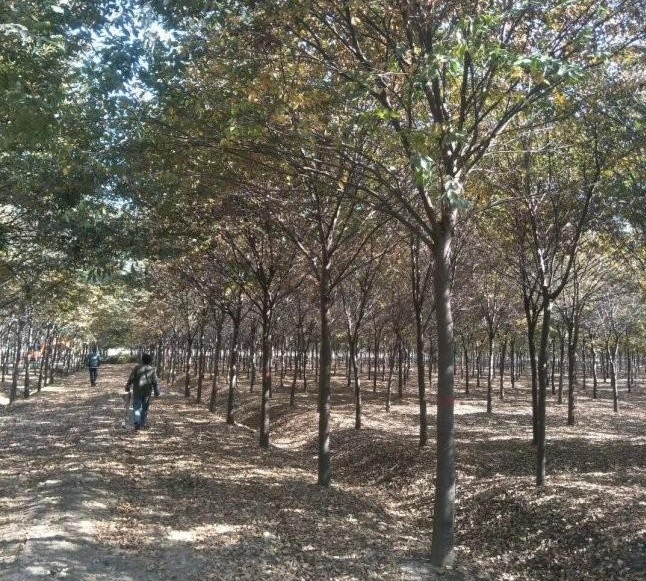 1628346642873016.jpg 7%CLV4NI)C6${KG}CF_V%II.jpg