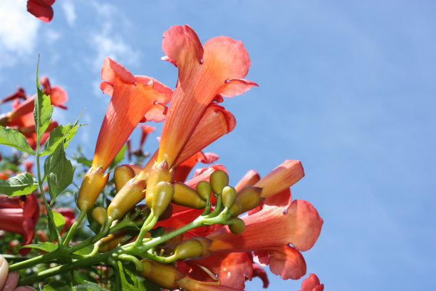 1628408839842736.jpg beae566419f36661d50fc1fc4dd84a85_t0107b5047e56779e9a.jpg