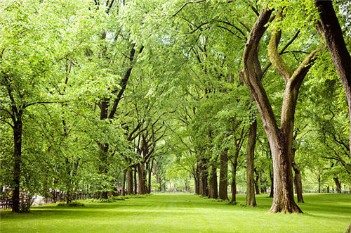 1628408978344578.jpg 1628408978344578.jpg