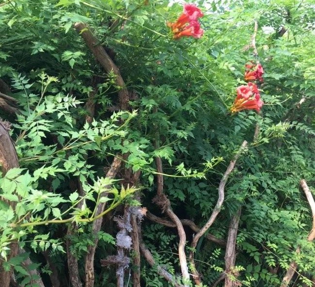 1628424001857237.jpg 1628423992(1).jpg